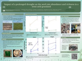 Impact of a prolonged drought on the seed rain abundance and richness in a semi-arid grassland