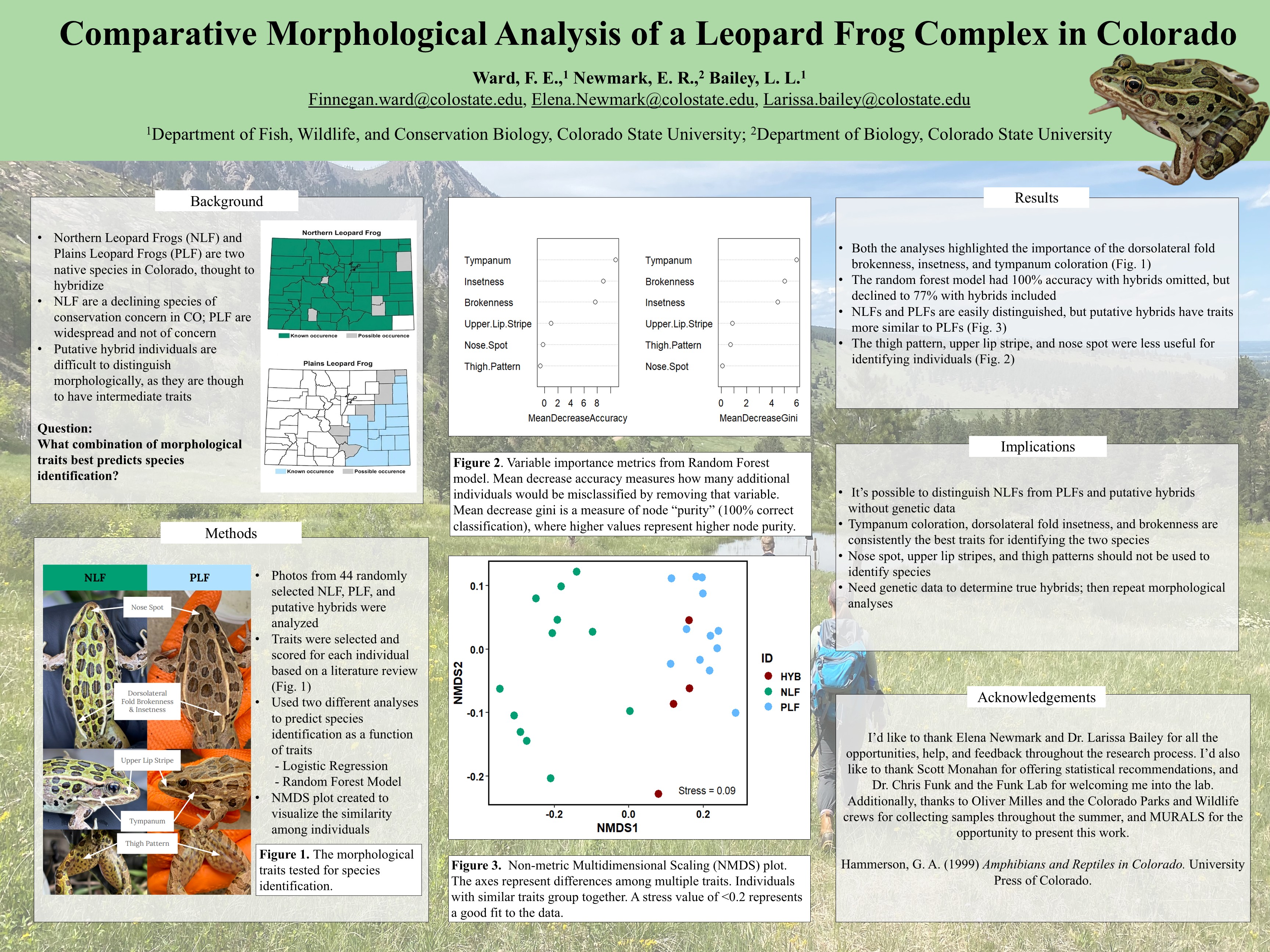 Comparative Morphological Analysis of the Leopard Frog Complex in Colorado