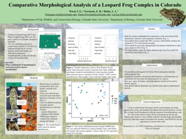 Comparative Morphological Analysis of the Leopard Frog Complex in Colorado