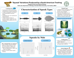'Squeak’ Variations Produced by a South American Treefrog