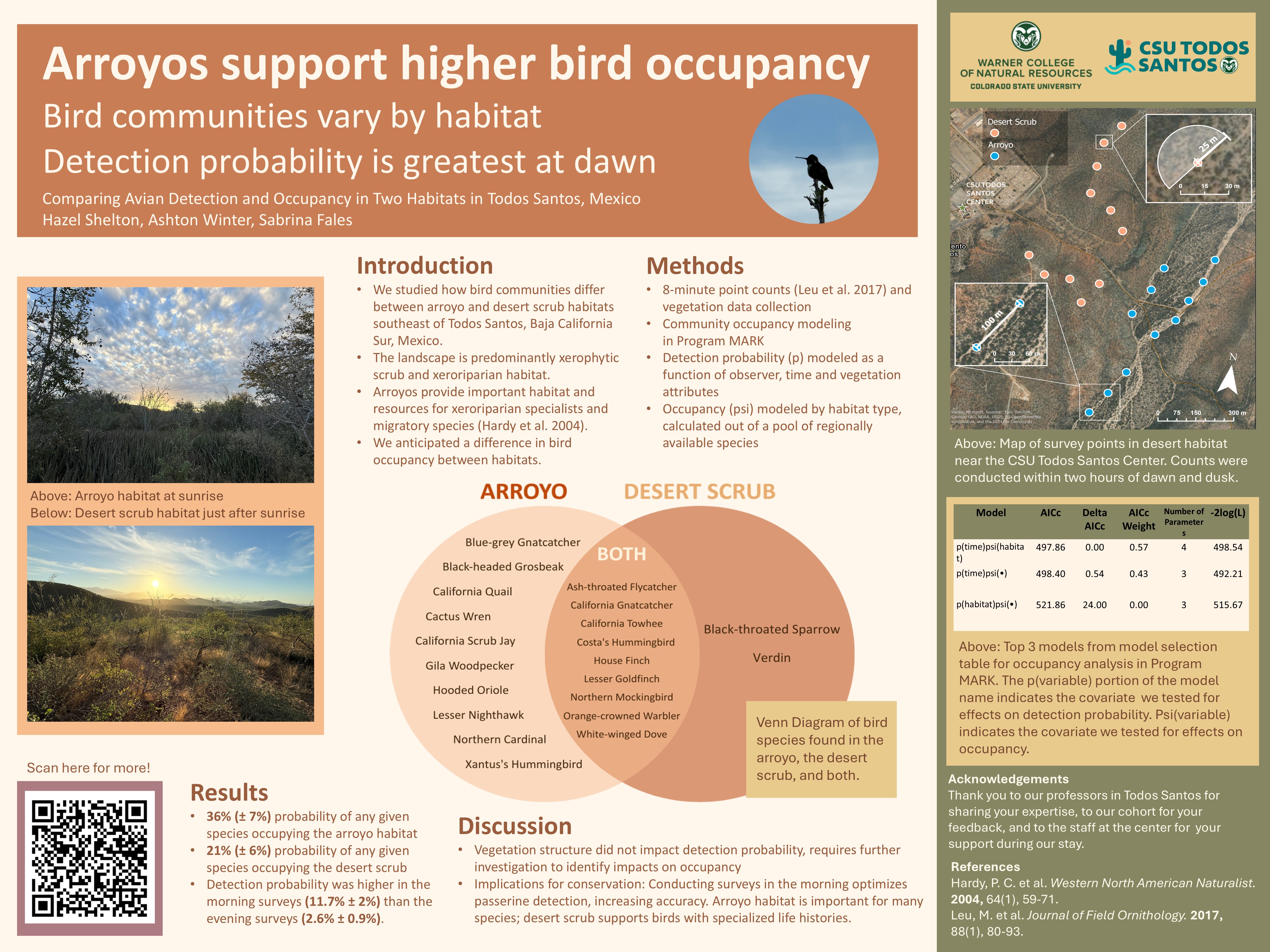 Comparing Avian Detection and Occupancy in Two Habitats in Todos Santos, BCS, Mexico