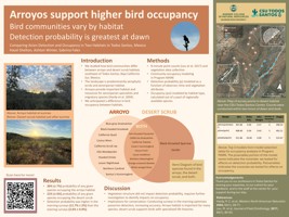Comparing Avian Detection and Occupancy in Two Habitats in Todos Santos, BCS, Mexico