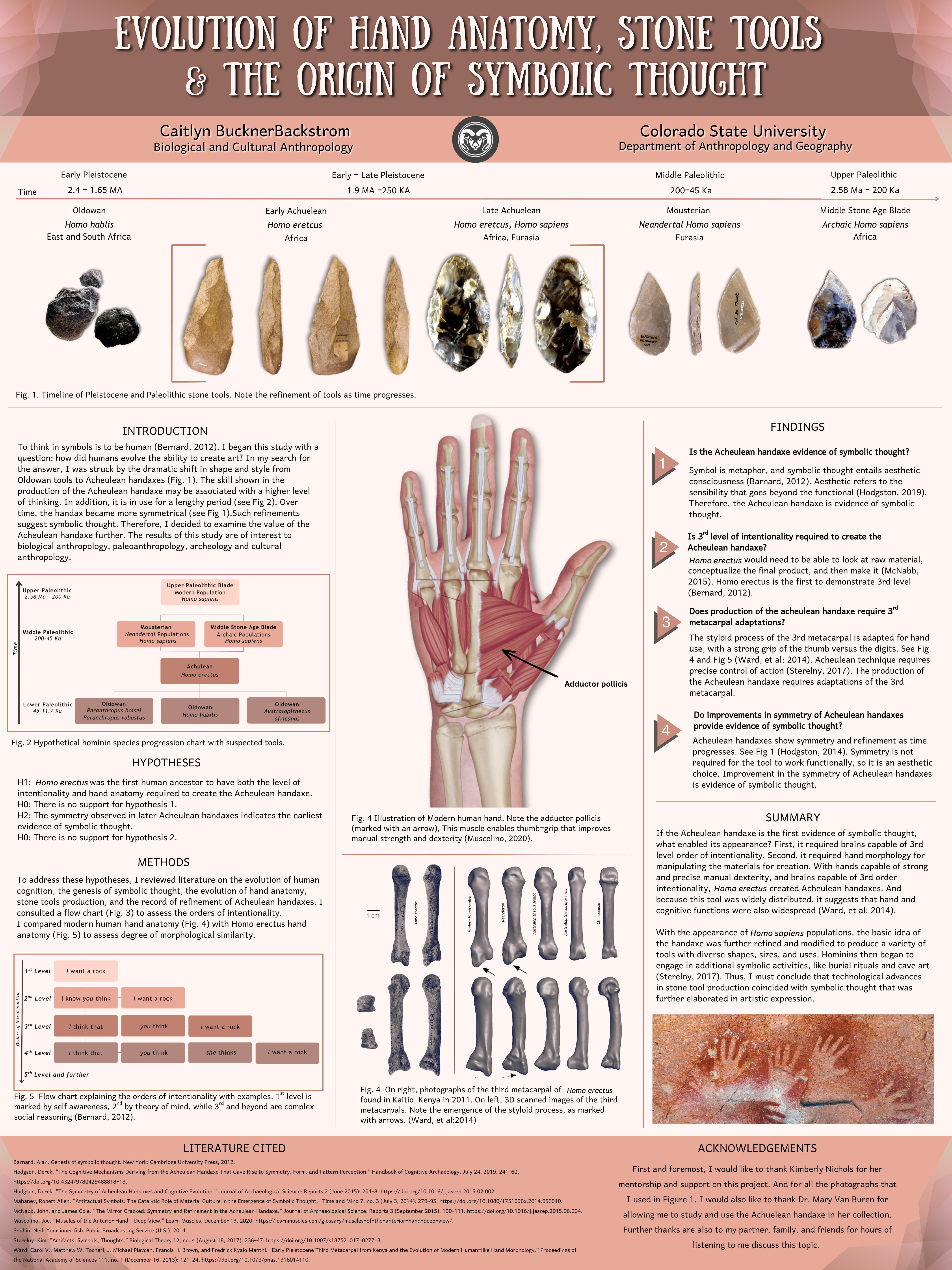 Evolution of Hand Anatomy, Stone Tools, & the Origin of Symbolic Thought 