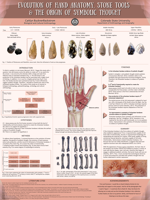 Evolution of Hand Anatomy, Stone Tools, & the Origin of Symbolic Thought 