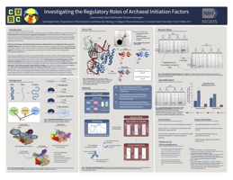 Investigating the Regulatory roles of Archaeal Initiation Factors