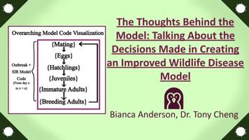 The Thoughts Behind the Model: Talking About the Decisions Made in Creating an Improved Wildlife Disease Model