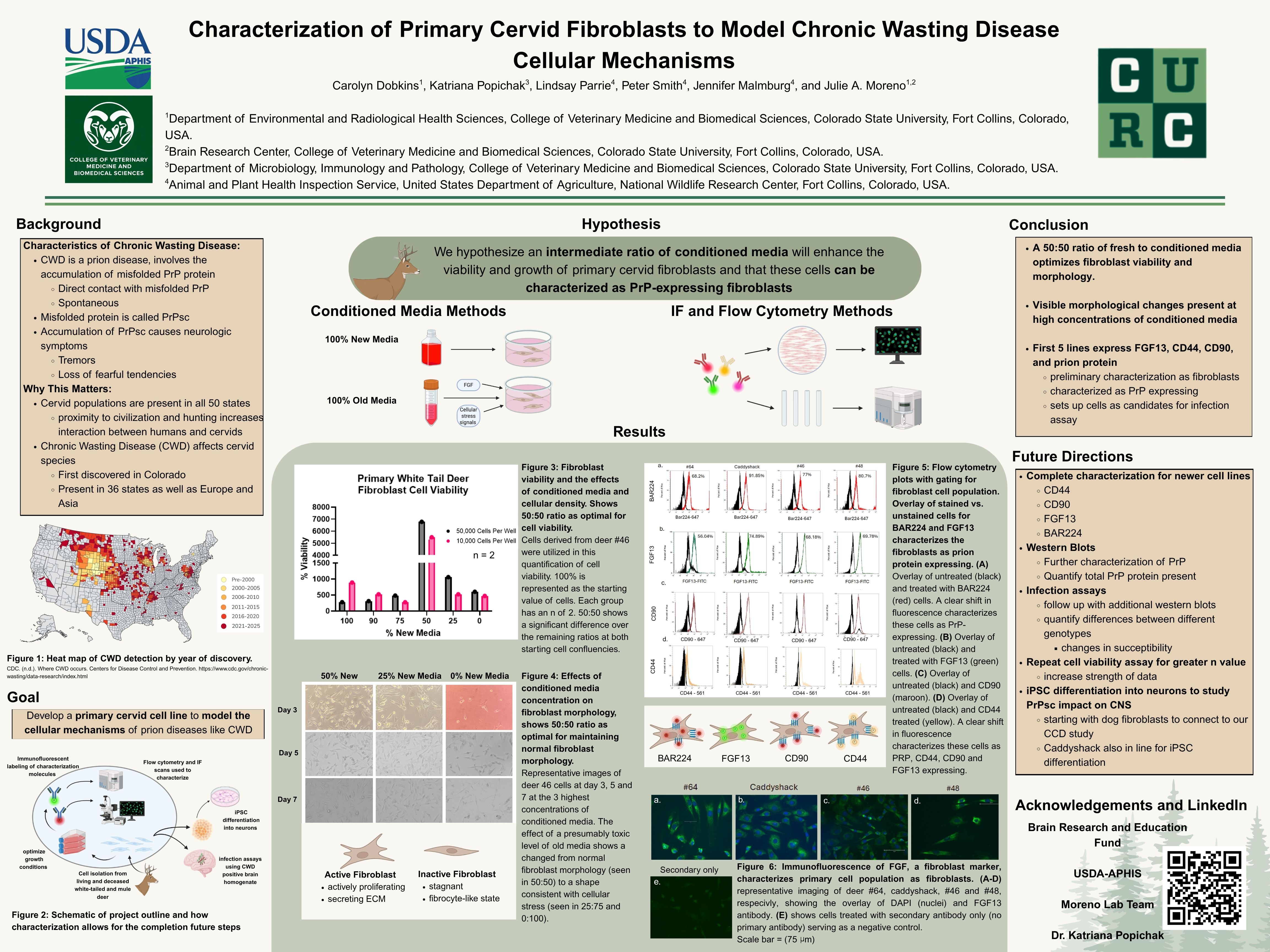 Characterization of Primary Cervid Fibroblasts to Model Chronic Wasting Disease Cellular Mechanisms