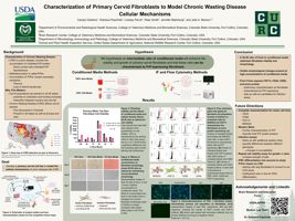 Characterization of Primary Cervid Fibroblasts to Model Chronic Wasting Disease Cellular Mechanisms