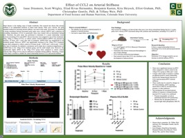 Effect of CCL2 on Arterial Stiffness