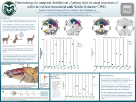 Determining the temporal distribution of prions shed in nasal secretions of white-tailed deer inoculated with Nordic CWD