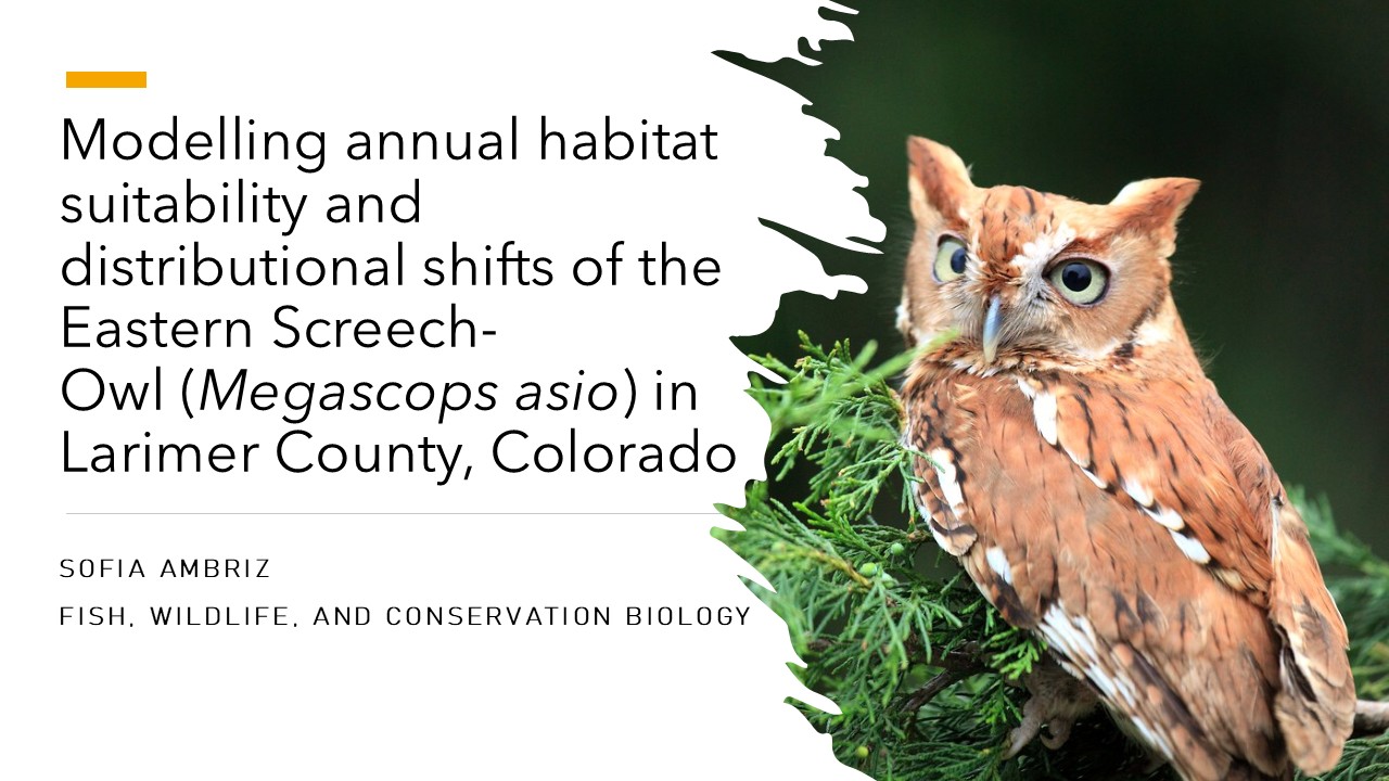 Modelling annual habitat suitability and distributional shifts of the Eastern Screech-Owl (Megascops asio) in Larimer County, Colorado