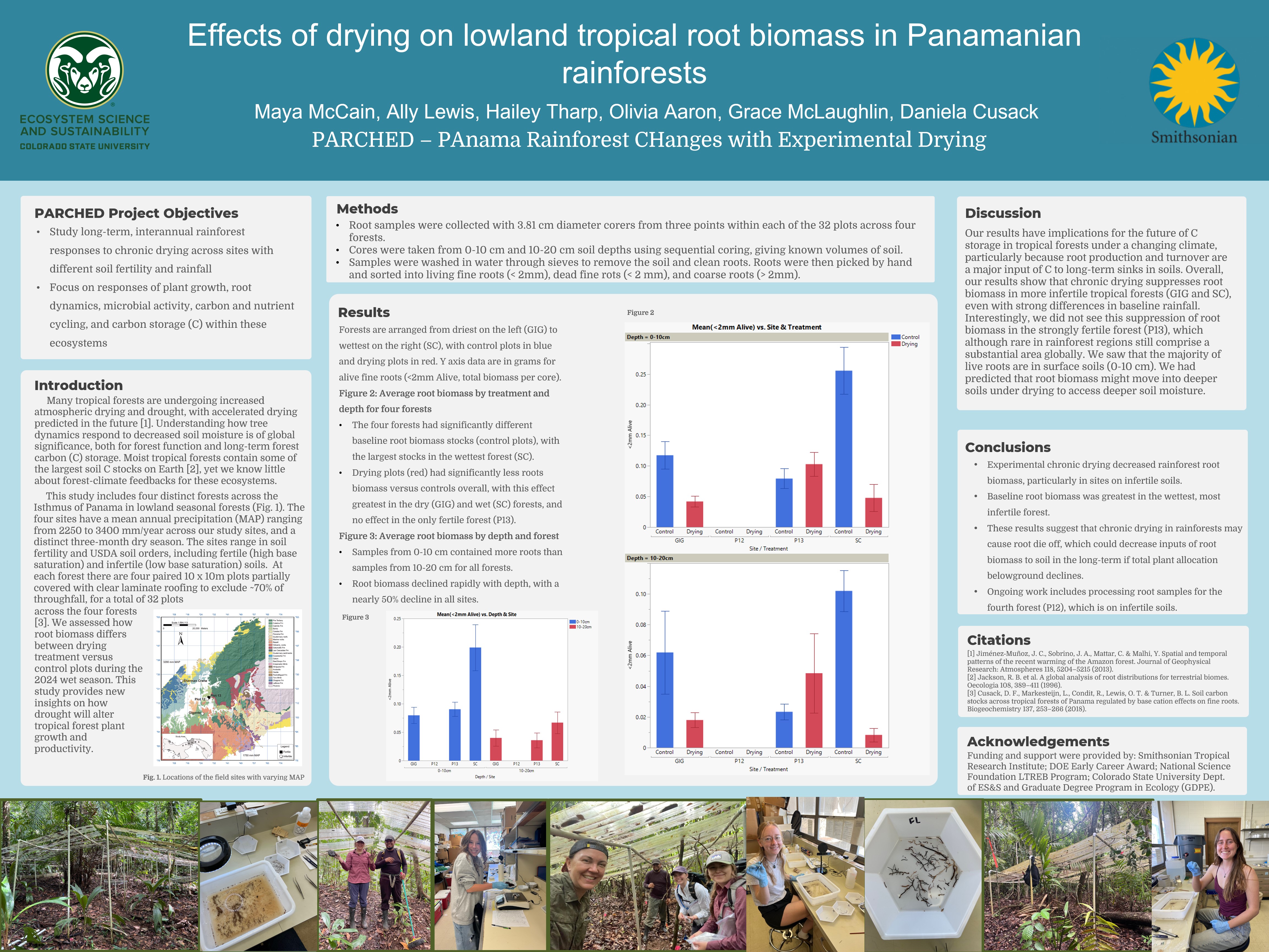 Effects of drying on lowland tropical root biomass in Panamanian rainforests