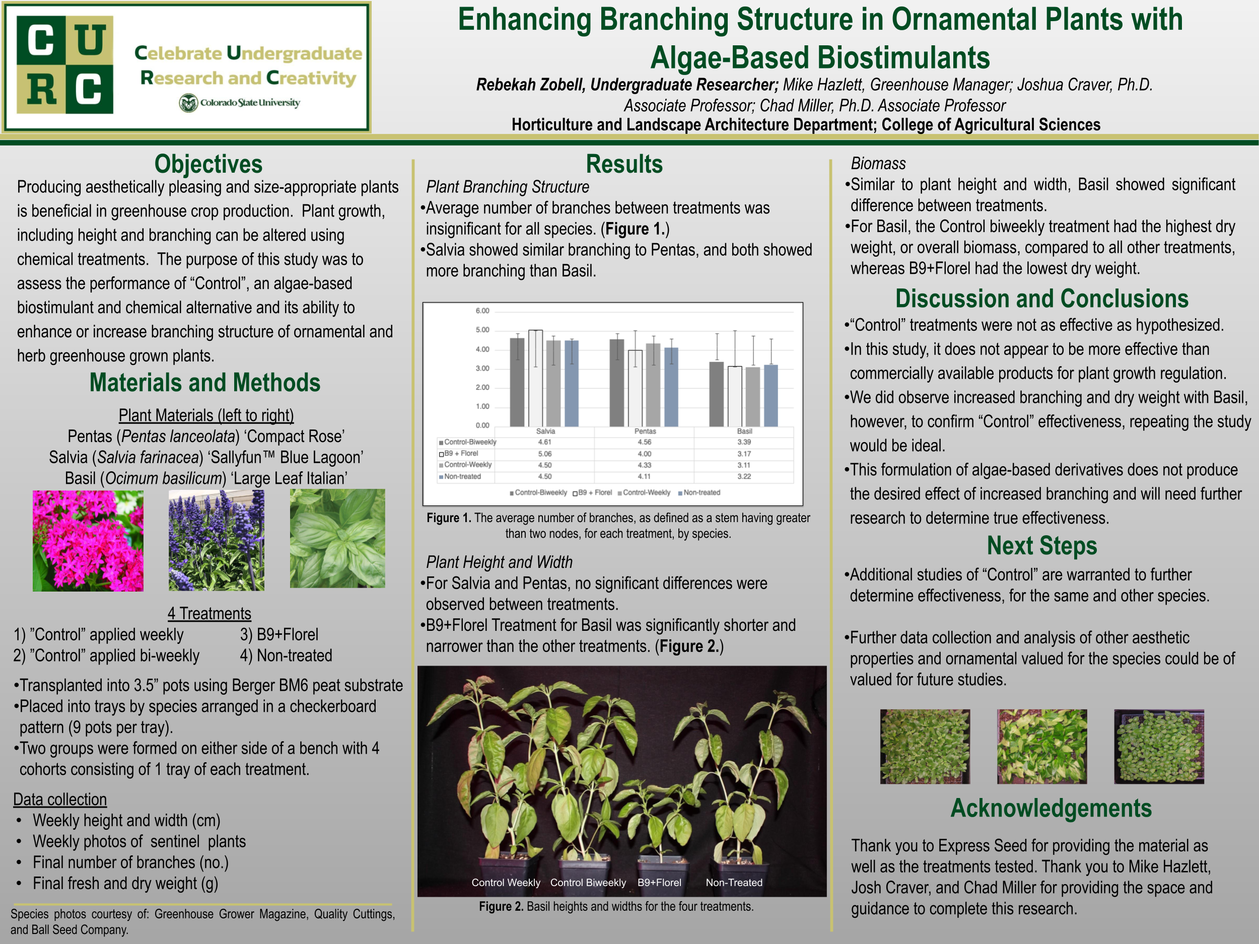 Enhancing Branching Structure in Ornamental Plants with Algae-Based Biostimulants