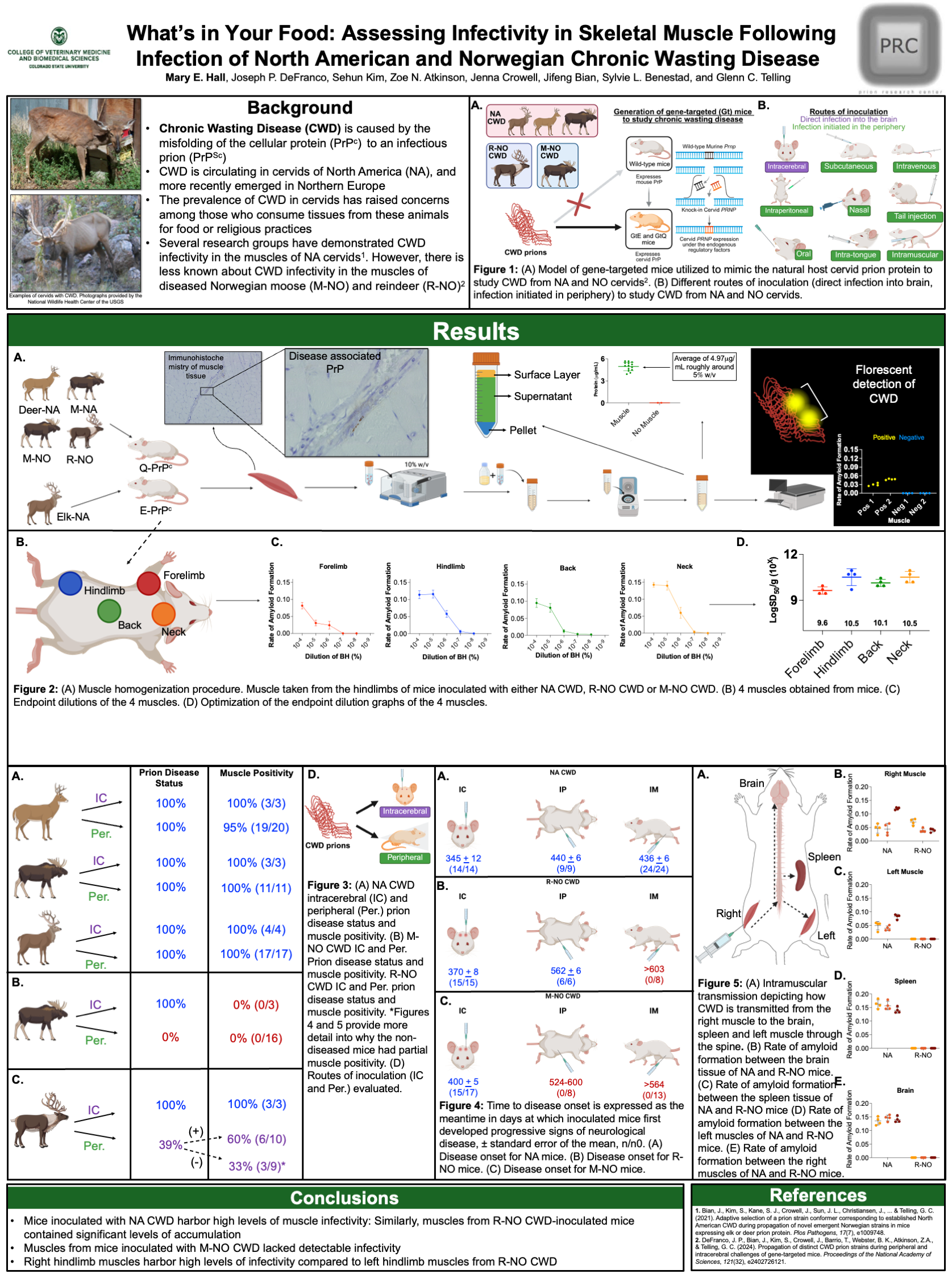 What’s in Your Food: Assessing Infectivity in Skeletal Muscle Following Infection of North American and Norwegian Chronic Wasting Disease 