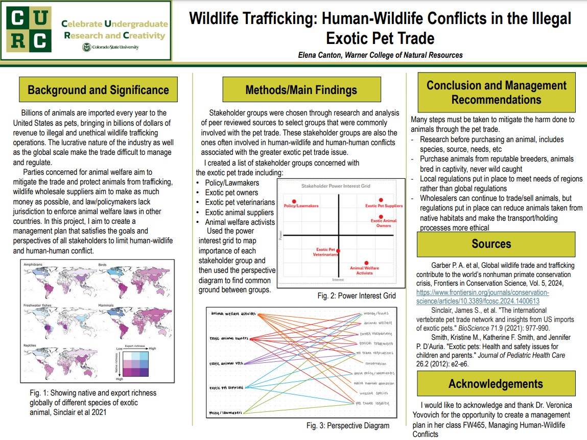 Wildlife Trafficking: Human-Wildlife Conflicts in the Illegal Exotic Pet Trade