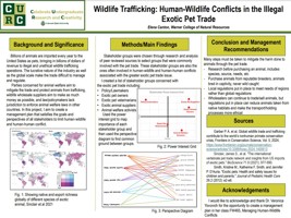 Wildlife Trafficking: Human-Wildlife Conflicts in the Illegal Exotic Pet Trade