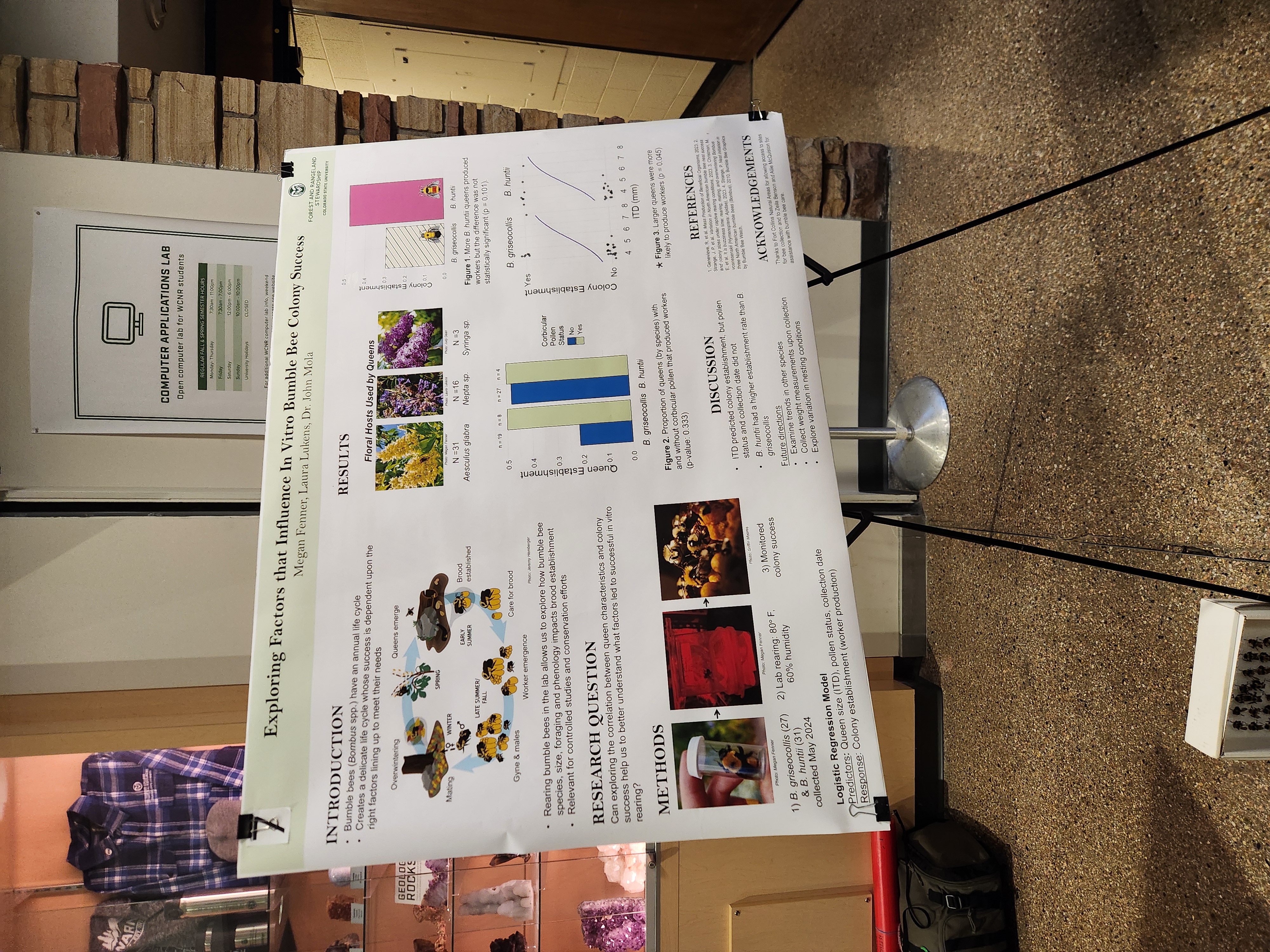Exploring Factors that Influence In Vitro Bumble Bee Colony Success