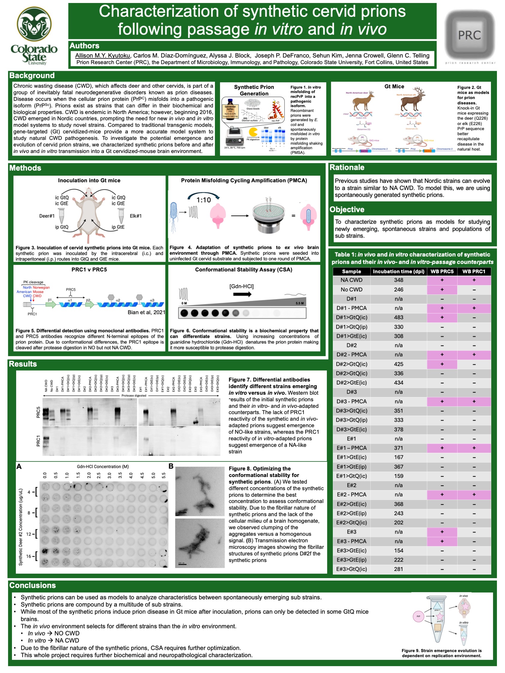 Characterization of synthetic cervid prions following passage in vitro and in vivo