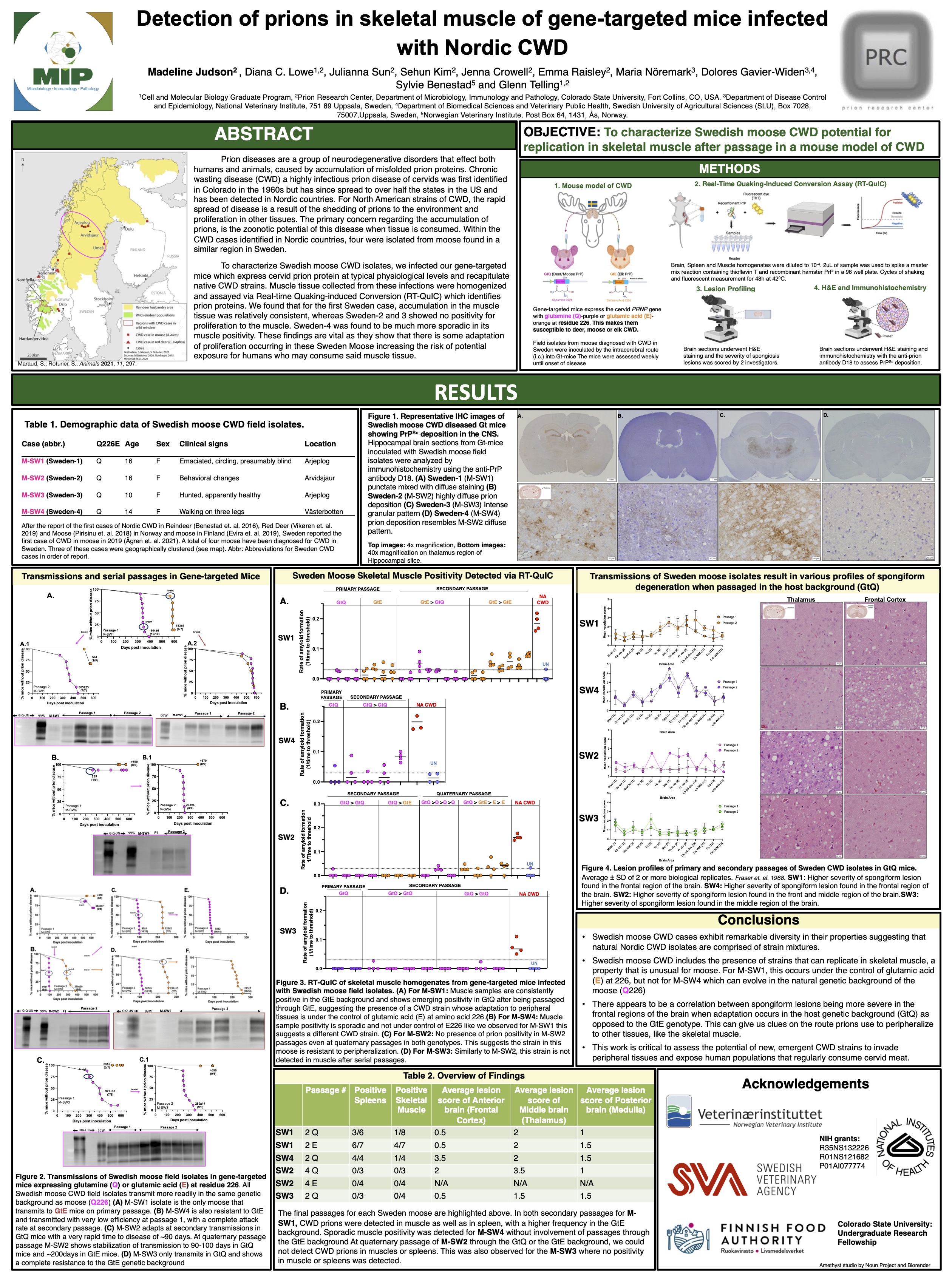 Detection of prions in skeletal muscle of gene-targeted mice infected with Nordic CWD
