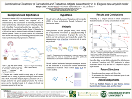 Combinational Treatment of Cannabidiol and Trazadone mitigate proteotoxicity In C.elegans beta-amyloid Model 