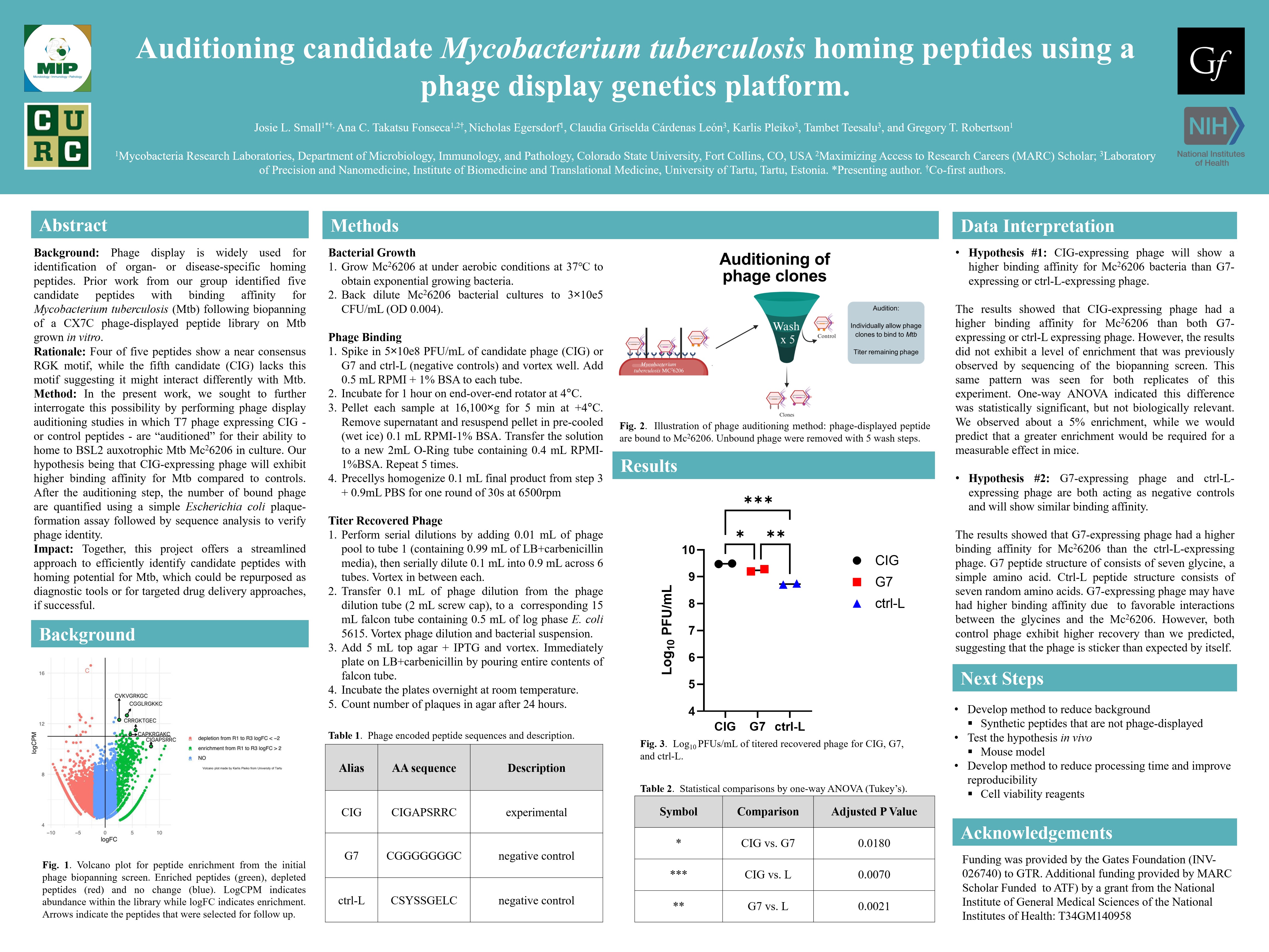 Auditioning candidate Mycobacterium tuberculosis homing peptides using a phage display genetics platform. 