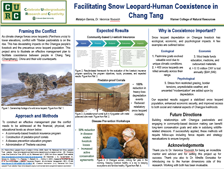 Facilitating Snow Leopard-Human Coexistence in Chang Tang