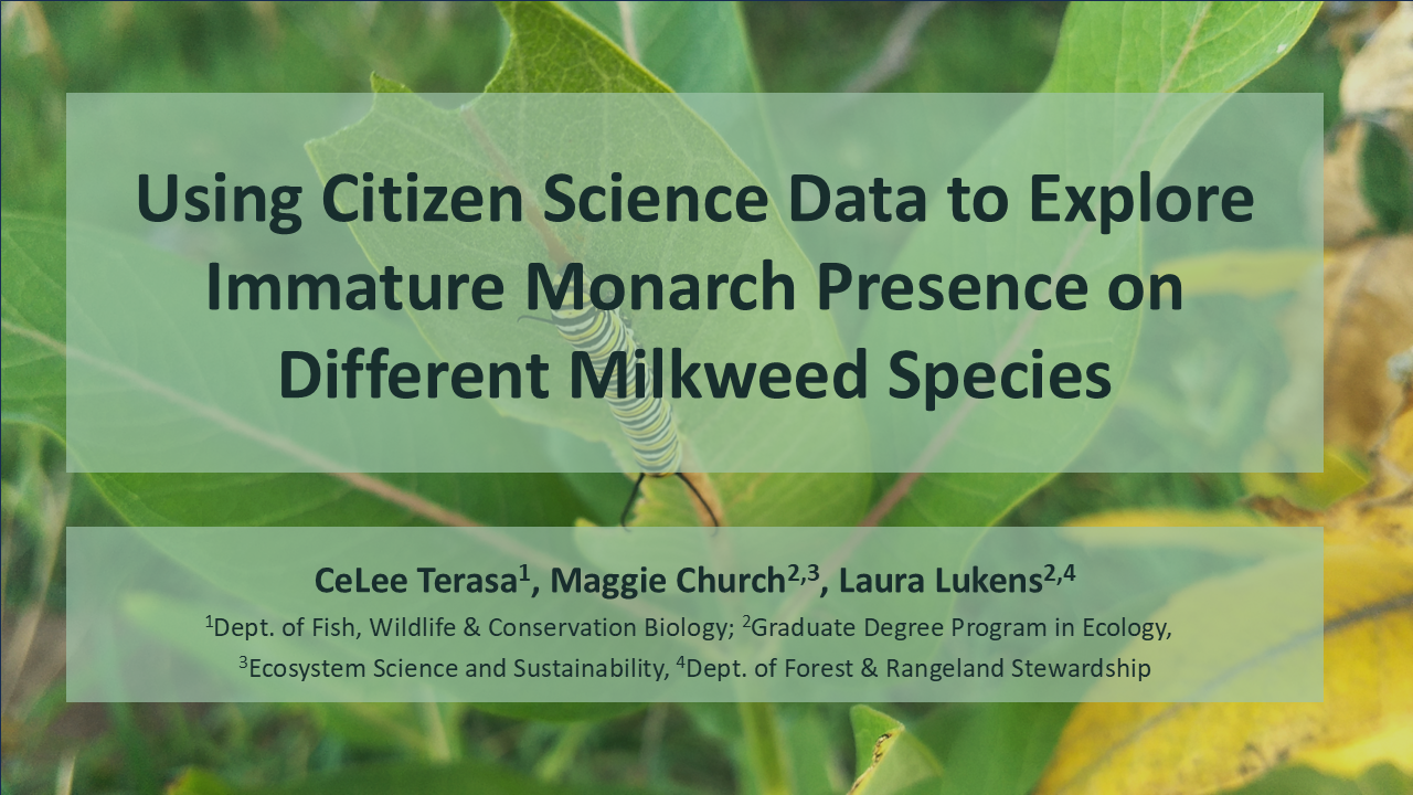 Using Citizen Science Data to Explore Immature Monarch Presence on Different Milkweed Species
