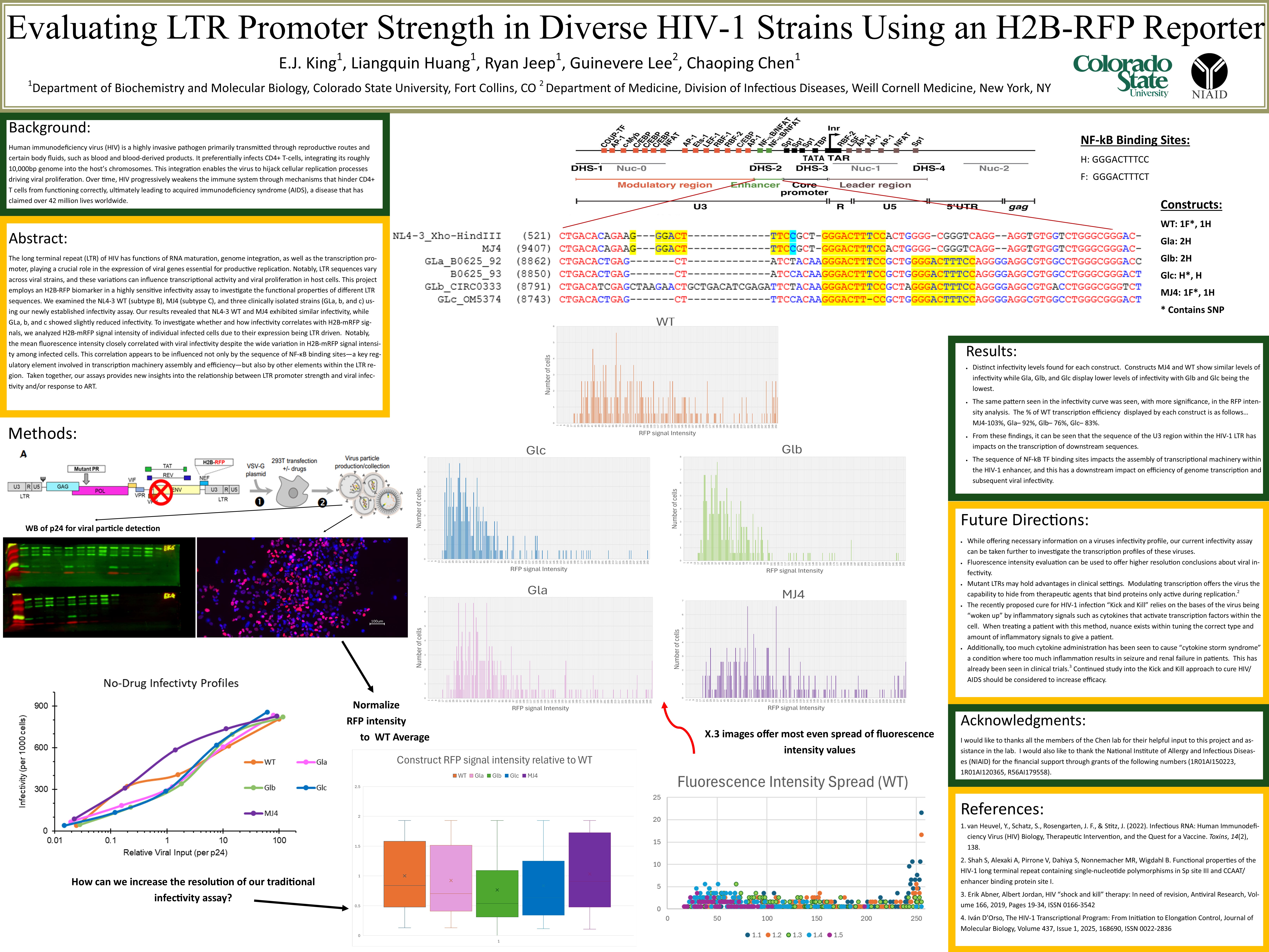 Evaluating LTR Promoter Strength in Diverse HIV-1 Strains Using an H2B-RFP Reporter
