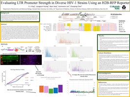 Evaluating LTR Promoter Strength in Diverse HIV-1 Strains Using an H2B-RFP Reporter