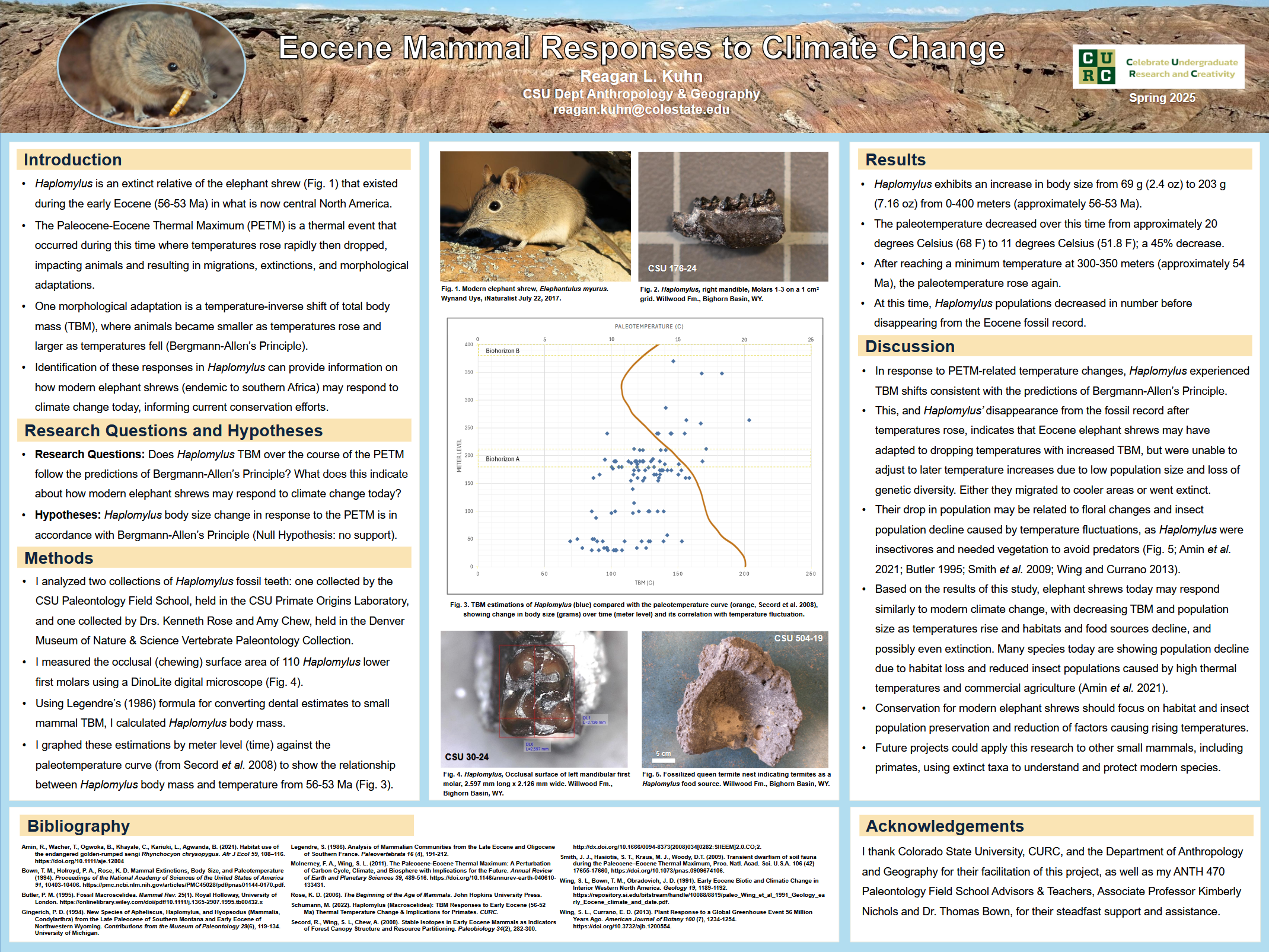 Eocene Mammal Responses to Climate Change