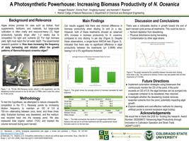 A Photosynthetic Powerhouse: Increasing Light Utilization of N. Oceanica 