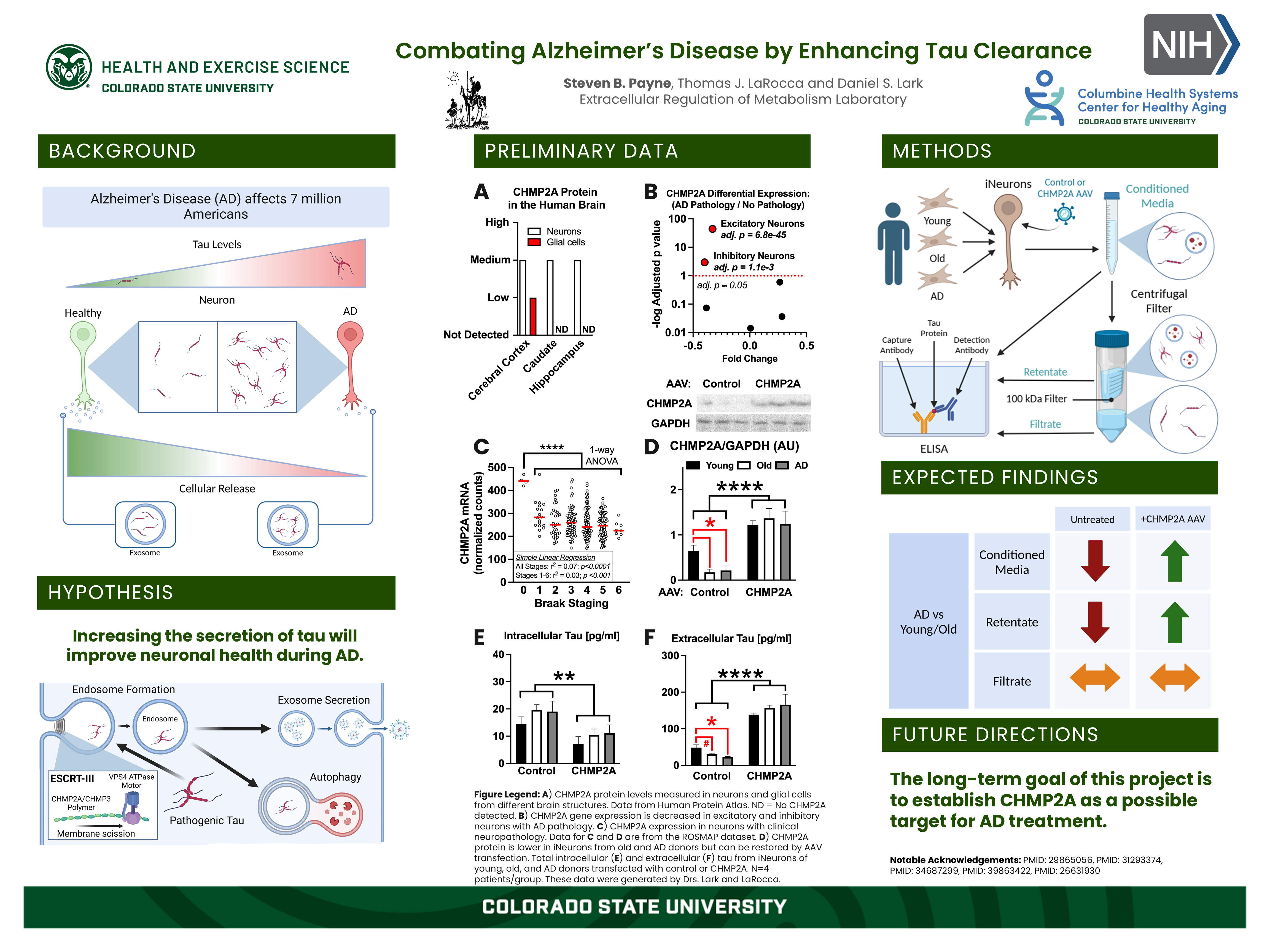 Combating Alzheimer's Disease by Enhancing Tau Clearance