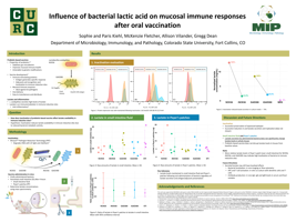 Influence of bacterial lactic acid on mucosal immune responses after oral vaccination 