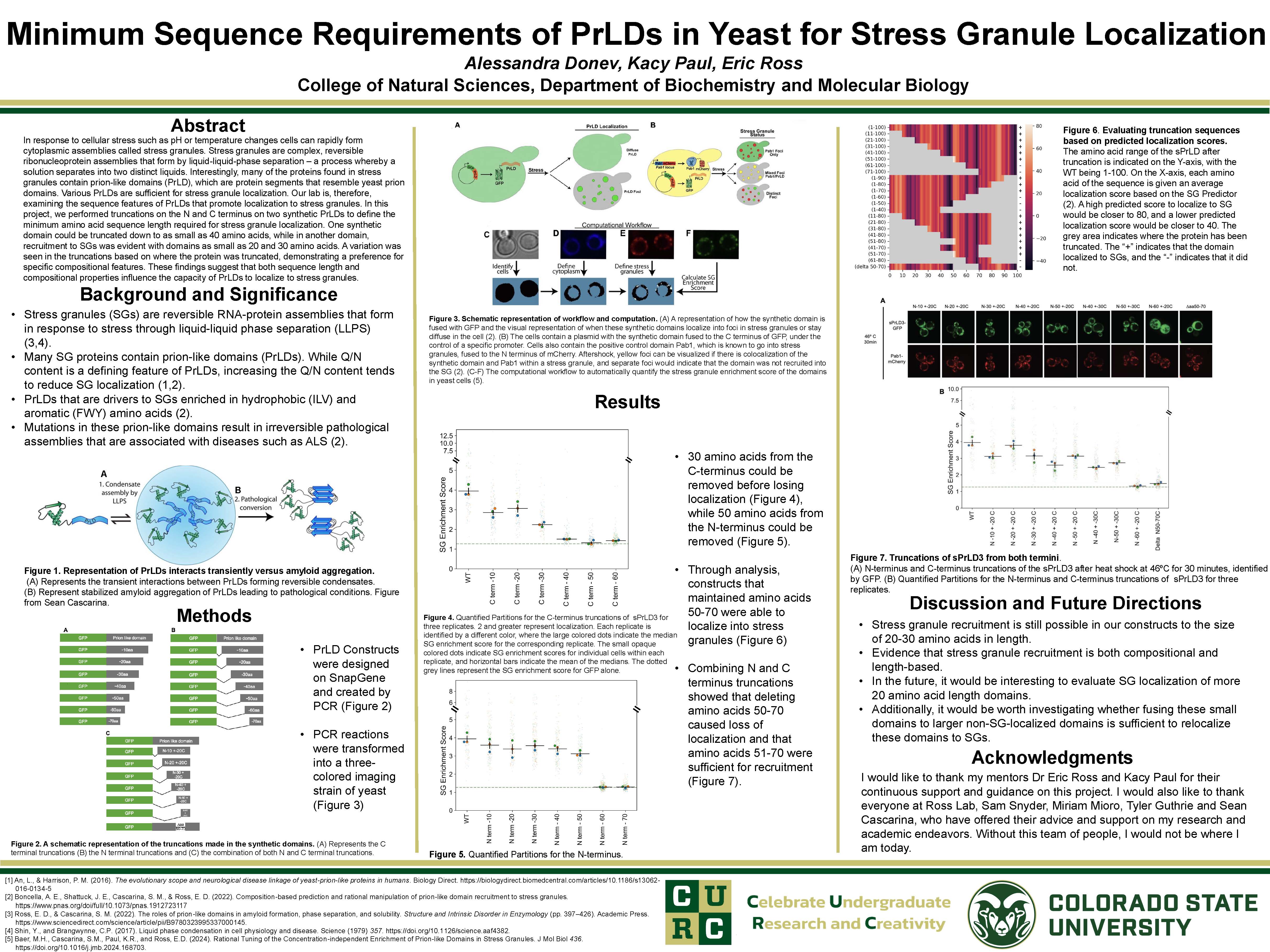 Minimum Sequence Requirements of Prion Like Domains in Yeast for Stress Granule Localization 