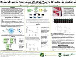 Minimum Sequence Requirements of Prion Like Domains in Yeast for Stress Granule Localization 