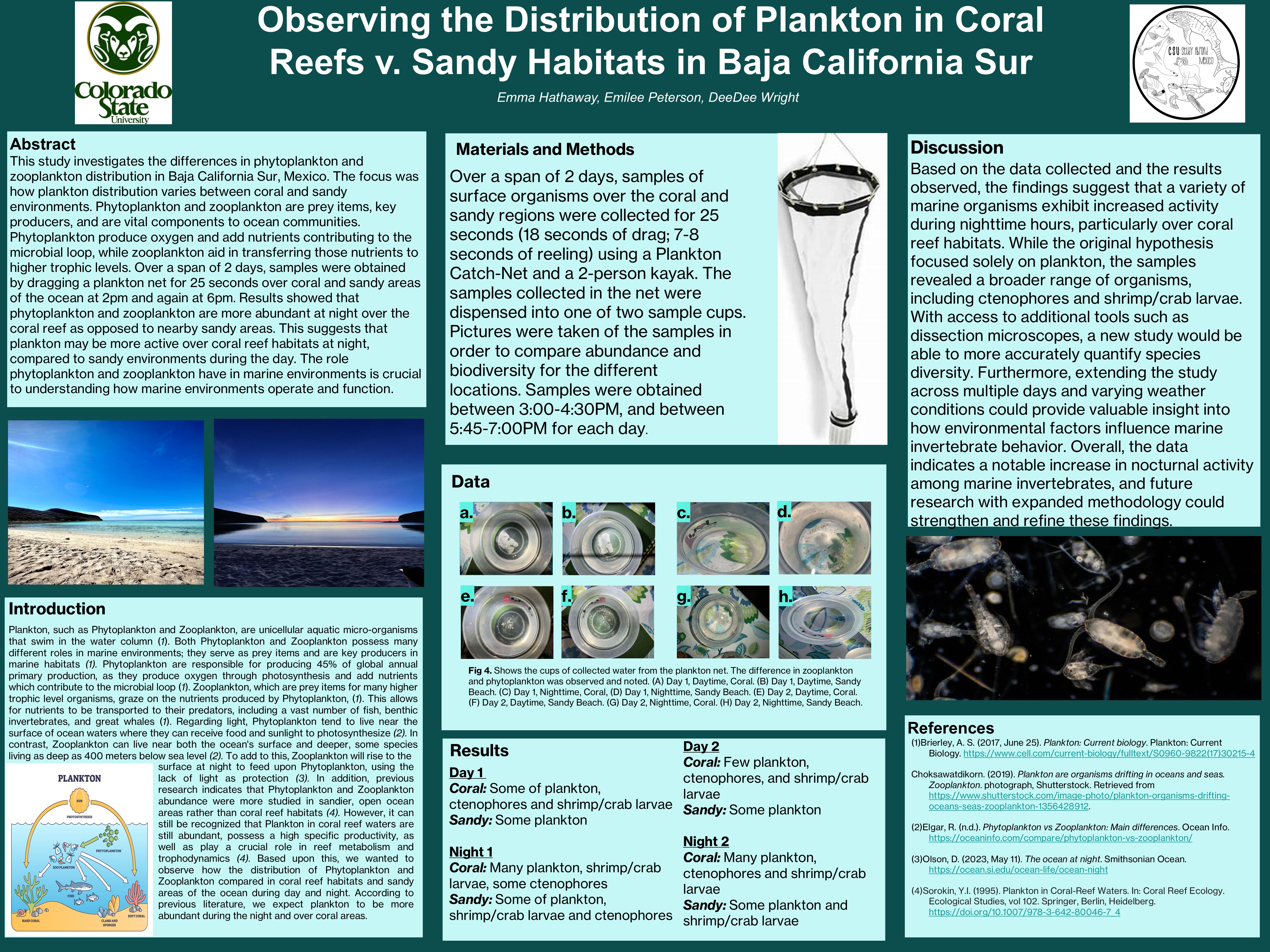 Observing the Distribution of Plankton in Coral Reefs v. Sandy Habitats in Baja California Sur