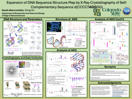Expansion of DNA Sequence-Structure Map by X-Ray Crystallography of Self-Complementary Sequence d(CCCCTAGGGG)