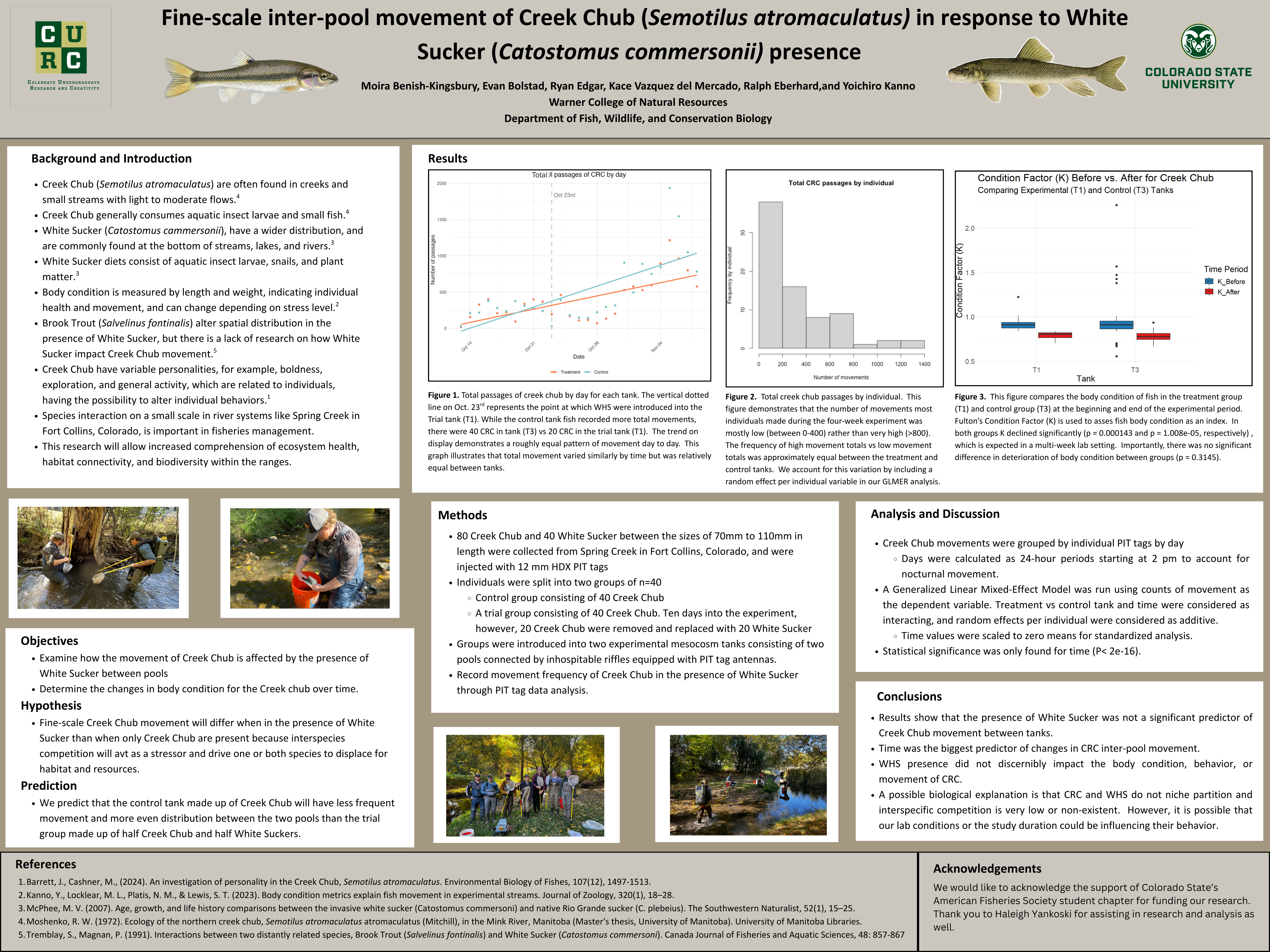 Fine-scale inter-pool movement of creek chub (Semotilus atromaculatus) in response to white sucker (Catostomus cammersonii) presence  