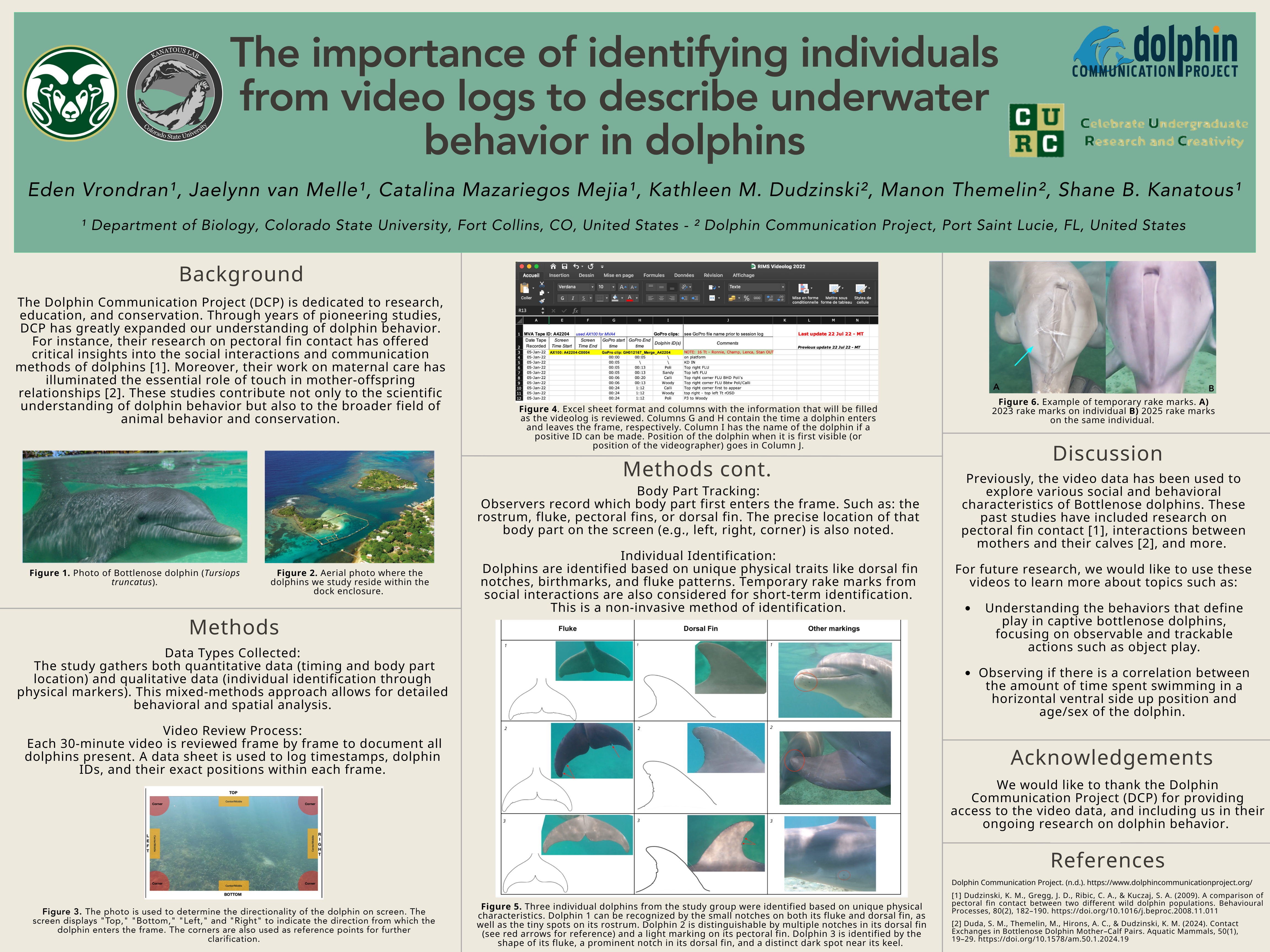 The importance of identifying individuals from video logs to describe underwater behavior in dolphins