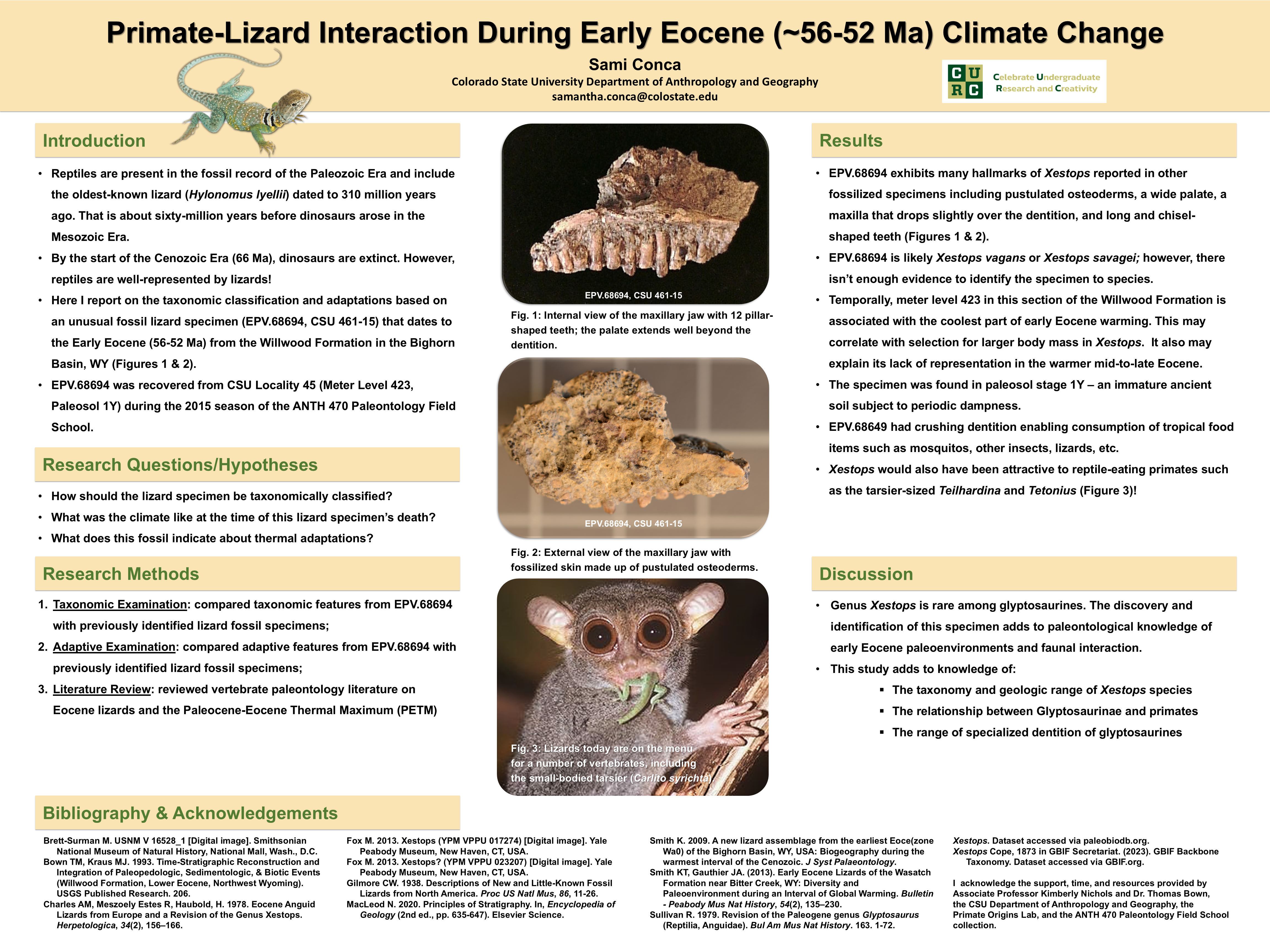 Primate-Lizard Interaction During Early Eocene Climate Change