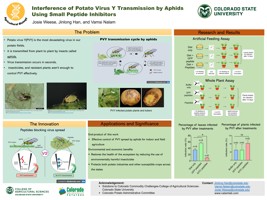Interference of Potato Virus Y Transmission by Aphids Using Small Peptide Inhibitors