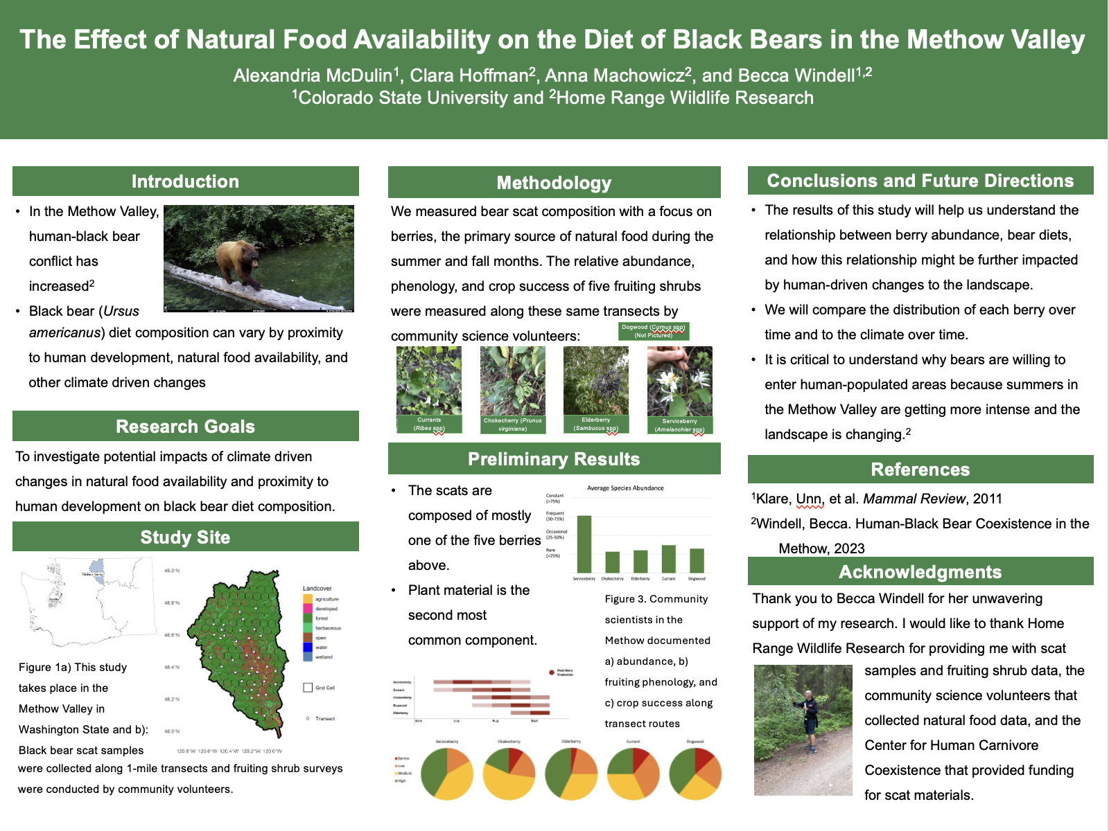 The Effect of Natural Food Availability on the Diet of Black Bears in the Methow Valley