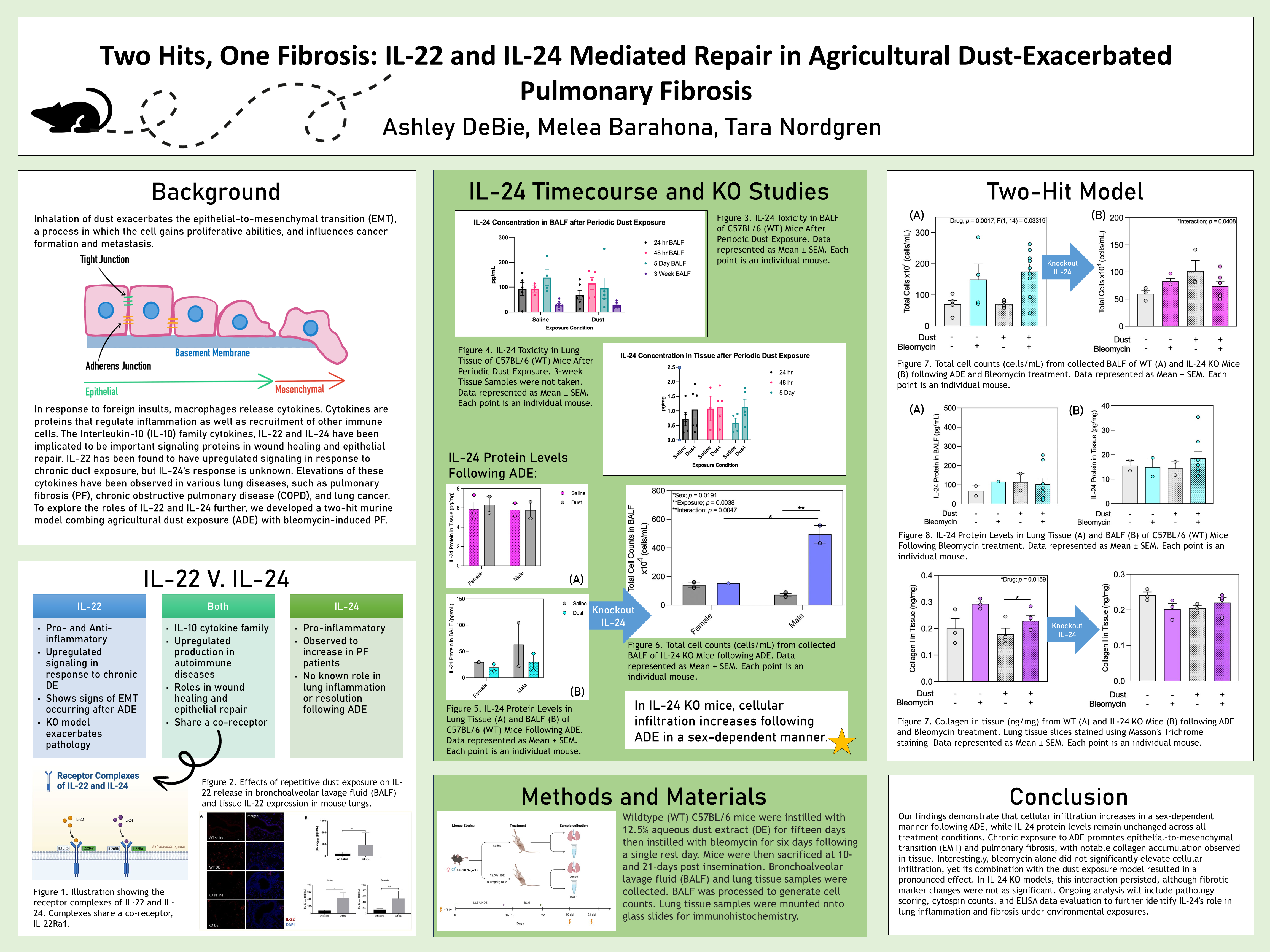 Two Hits, One Fibrosis: IL-22 and IL-24 Mediated Repair in Agricultural Dust-Exacerbated Pulmonary Fibrosis