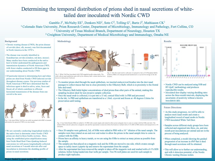 Determining the temporal distribution of prions shed in nasal secretions of white-tailed deer inoculated with Nordic CWD  