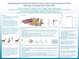 Determining the temporal distribution of prions shed in nasal secretions of white-tailed deer inoculated with Nordic CWD  