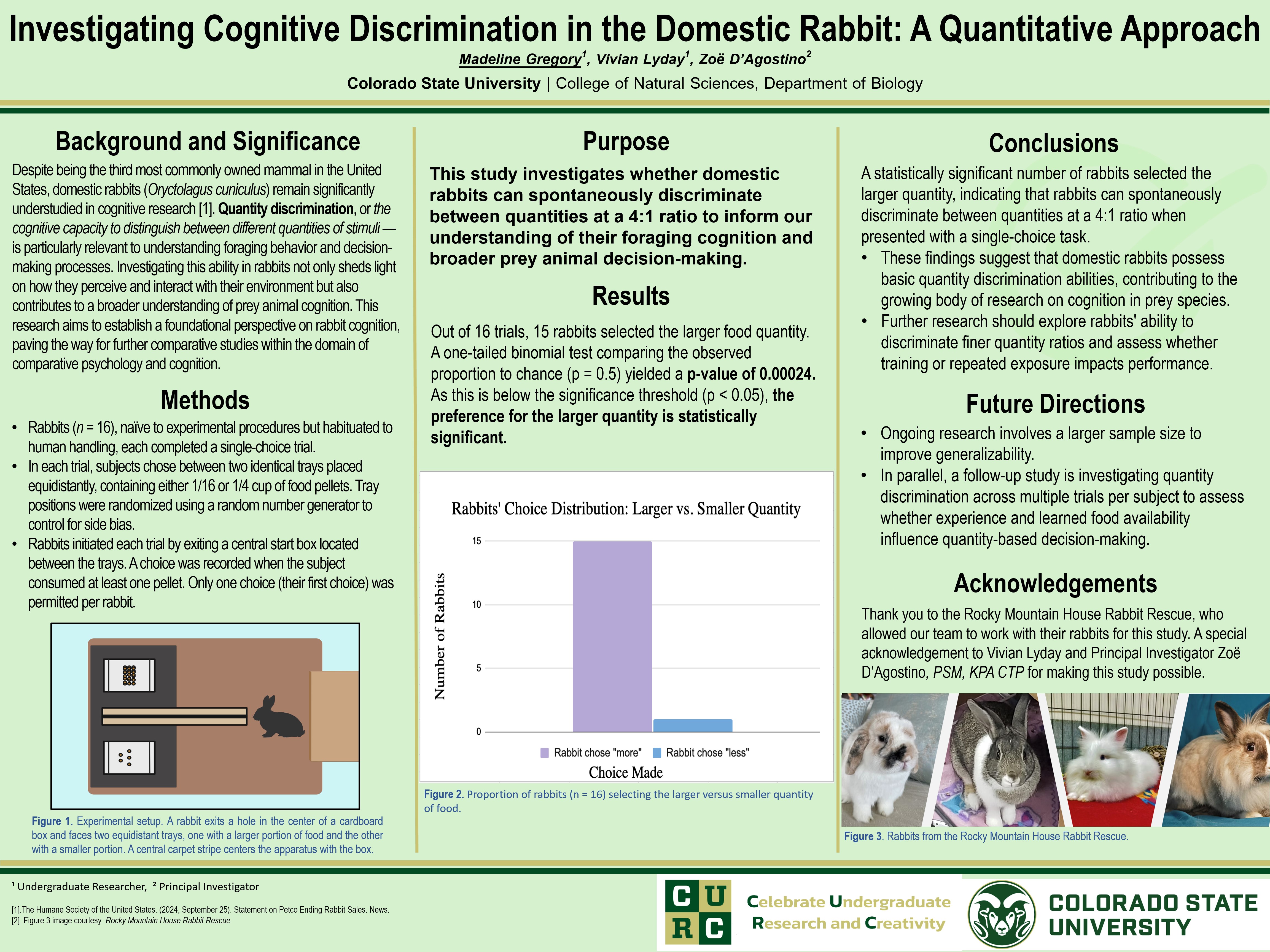 Investigating Cognitive Discrimination in the Domestic Rabbit: A Quantitative Approach