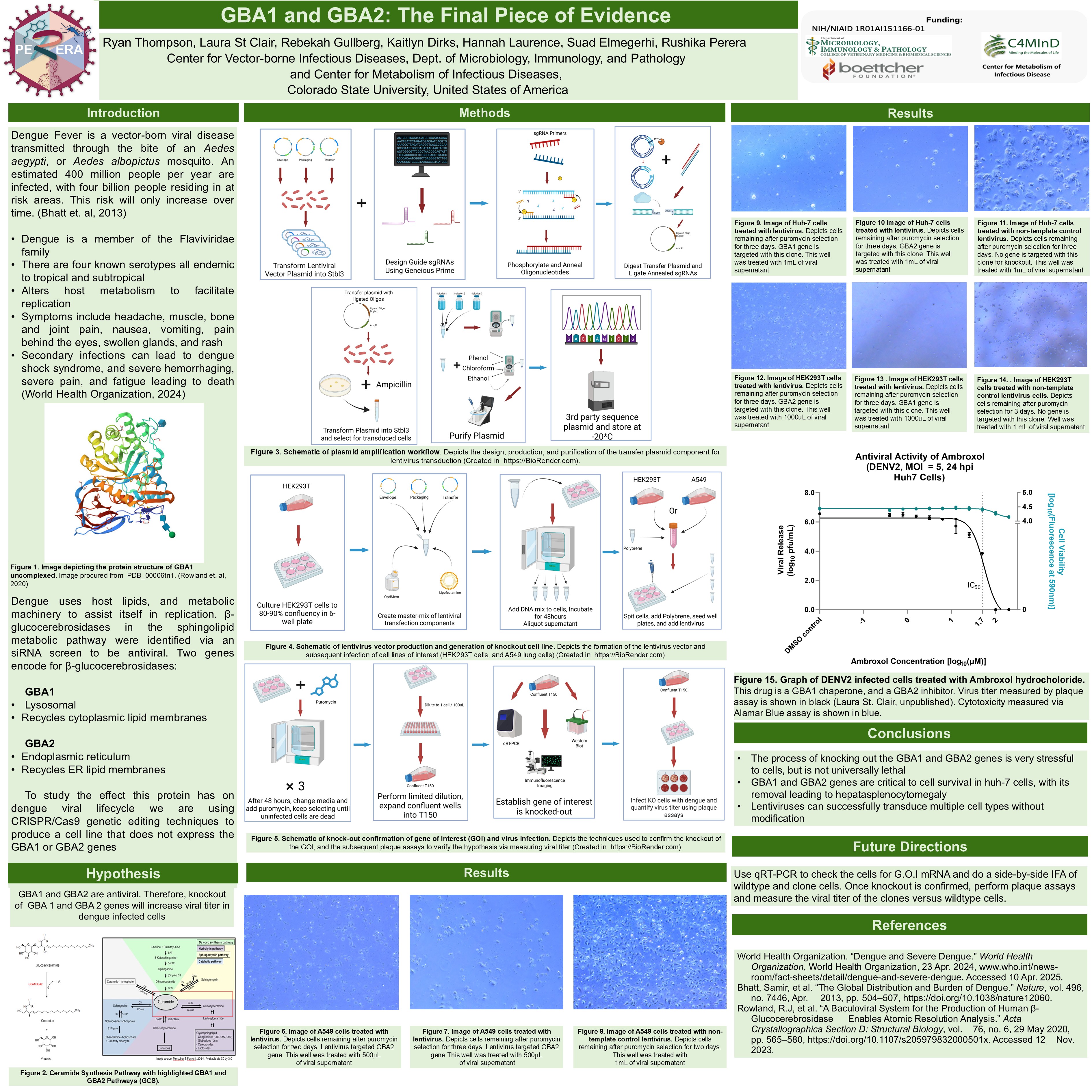 GBA1 and GBA2: The Final Pieces of Evidence 