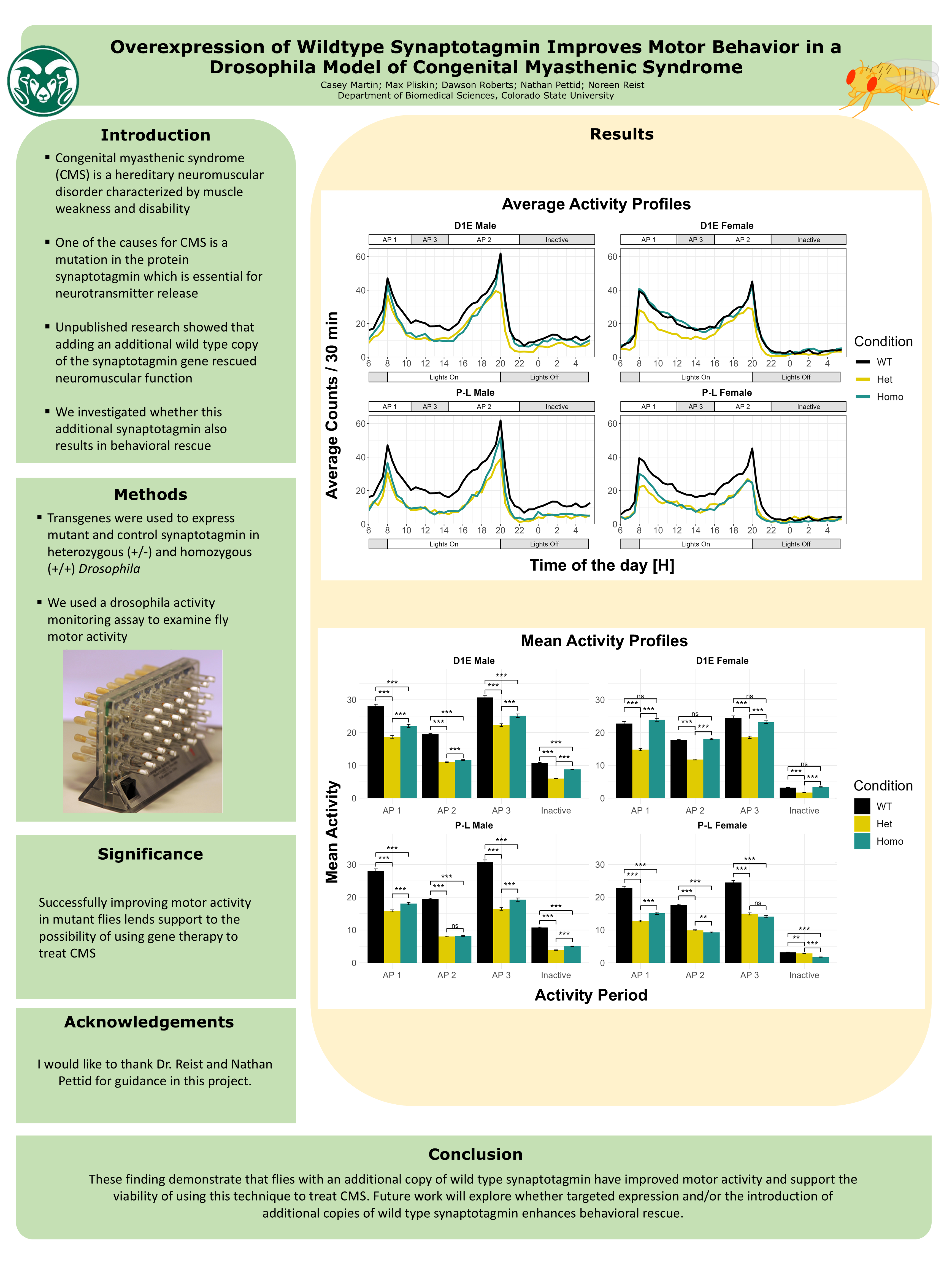 Overexpression of wildtype synaptotagmin improves motor behavior in a Drosophila model of congenital myasthenic syndrome