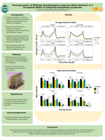 Overexpression of wildtype synaptotagmin improves motor behavior in a Drosophila model of congenital myasthenic syndrome