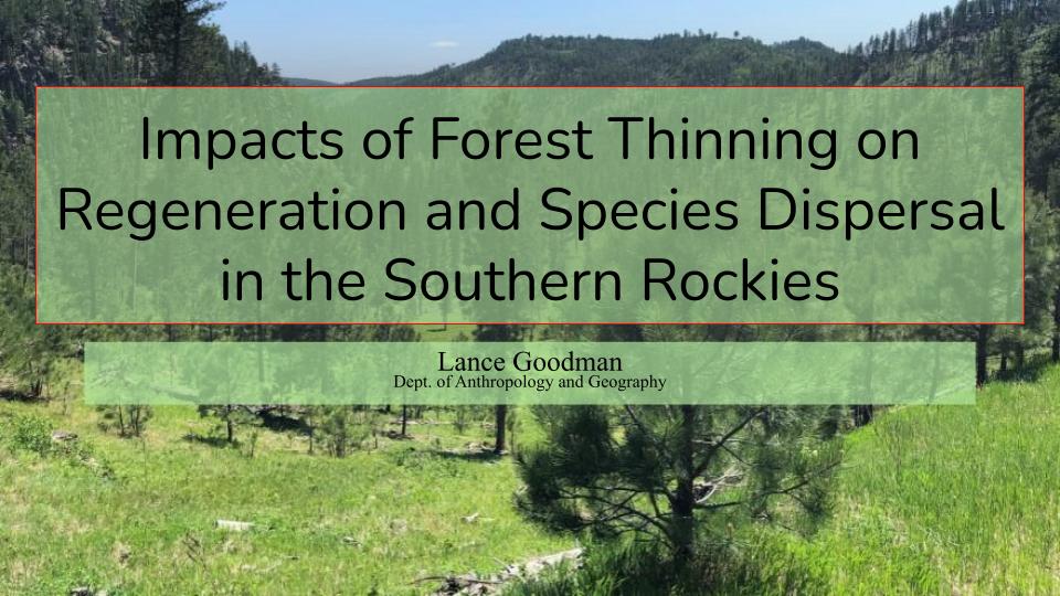 Impacts of Forest Thinning on Regeneration and Species Dispersal in the Southern Rockies